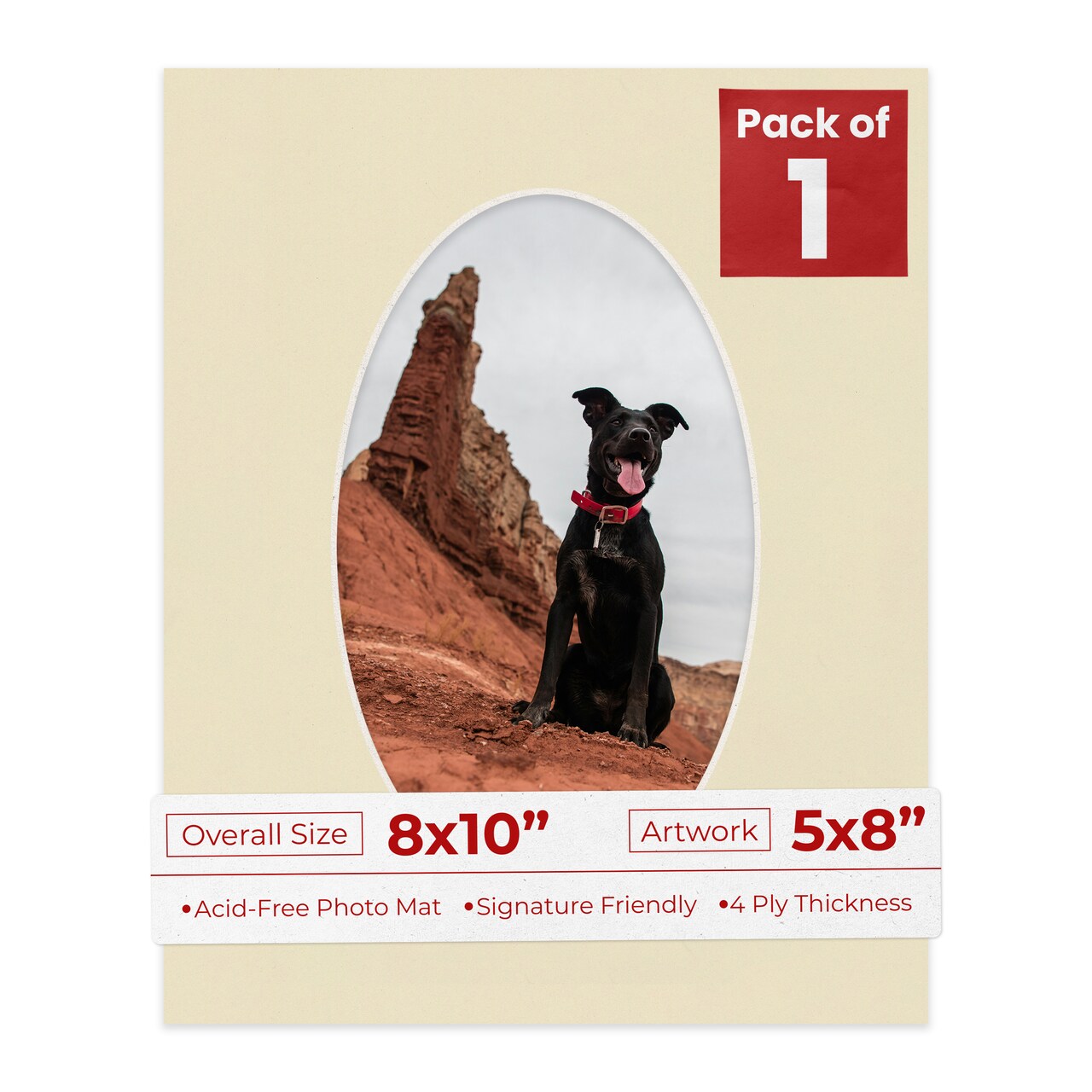 Plume Beige Mat Board for 8x10 Frames - Oval Opening for 5x8 Photos